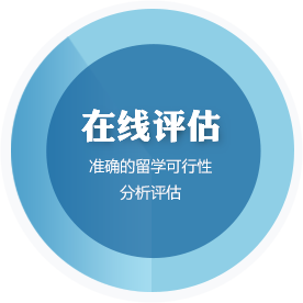 在线评估